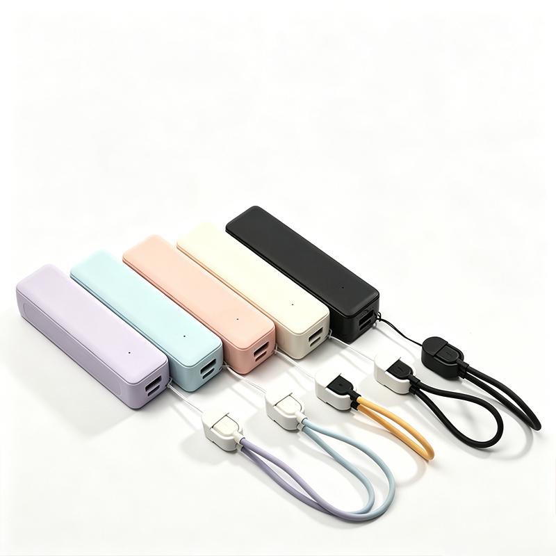 21700 Batterie-Powerbank-Gehäu – Electronics Project Kit Bewertung und Preis