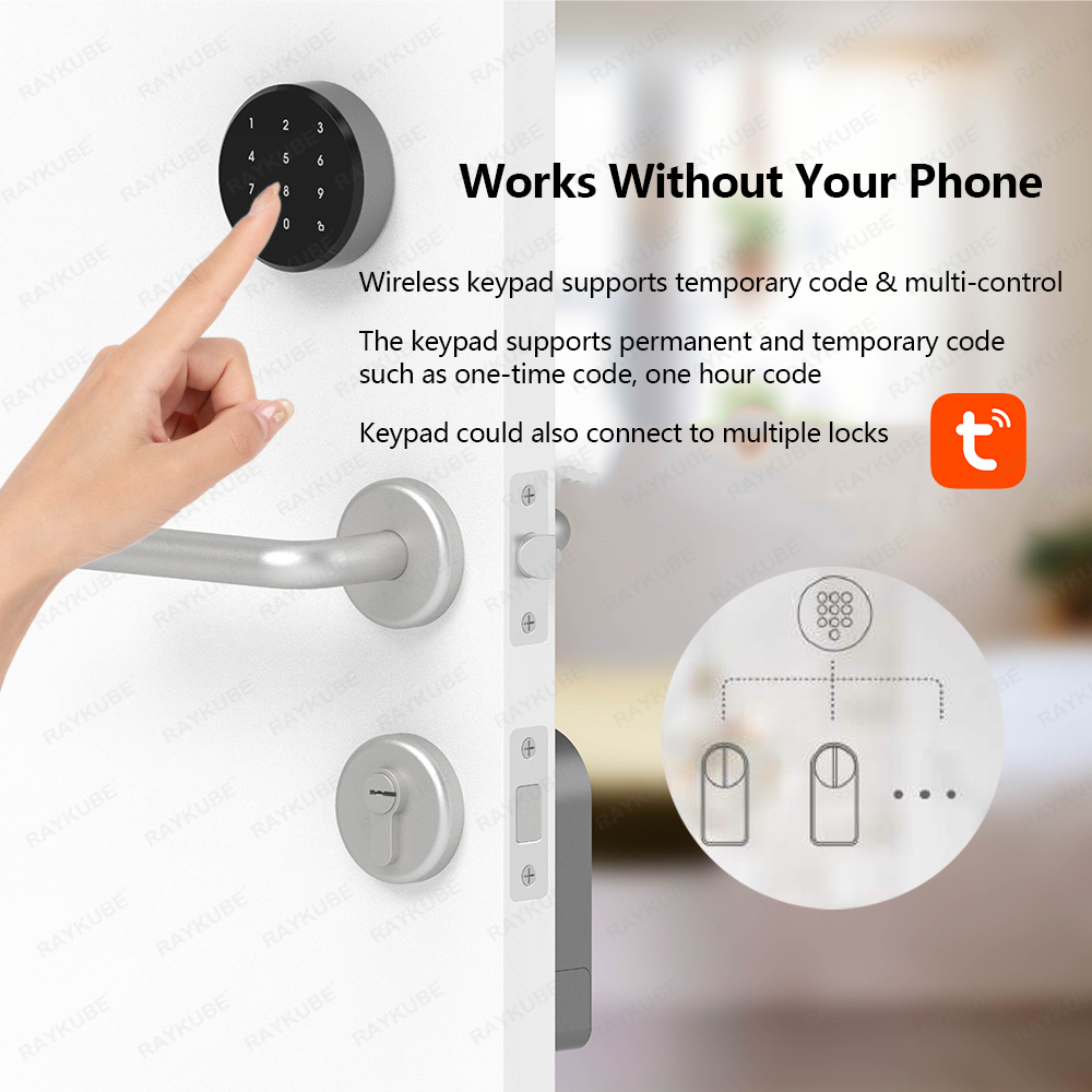 RAYKUBE A1 Pro Tuya BEL Smart  – Smart Door Lock Wifi Bewertung und Preis